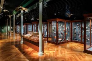 Florent LUKAS - Agence LFA!